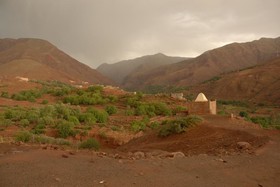 Riad Lorsya