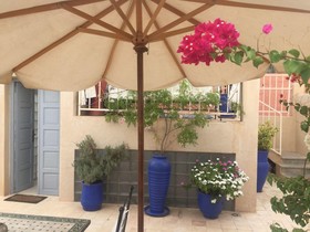 Riad Nafis