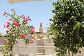 Riad Nafis