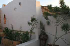 Riad O-ly