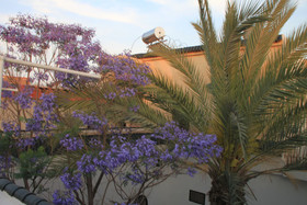 Riad O-ly