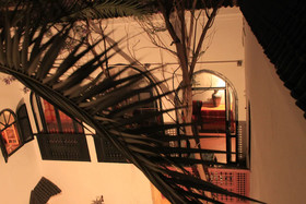 Riad O-ly