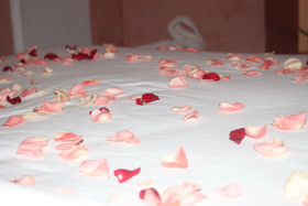 Riad O-ly