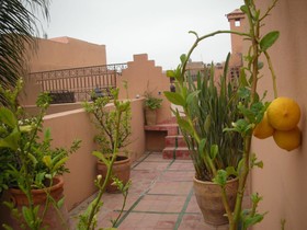 Riad Osefina