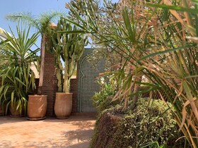 Riad Palacio de Las Especias