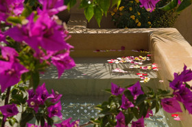 Riad Papillon