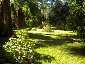 Riad Souiguia