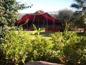 Riad Souiguia