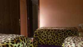 Riad Tifor