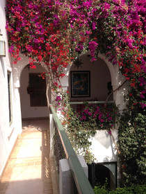 Riad Timila