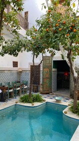 Riad Yamina