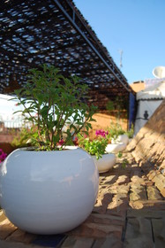 Riad Zaid