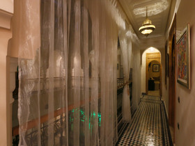 Riad Zaki