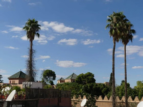 Riad Zouhour