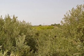 Run Villa Marine