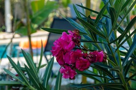 Sirayane Boutique & Spa