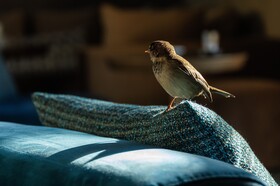 Sirayane Boutique & Spa