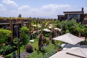 The Lemonary Marrakech