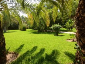 Villa Al Assala la Palmerale