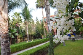 Villa Guest