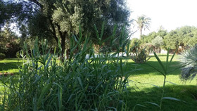 Villa Tarik
