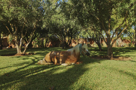 Villa Vanille