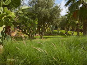 Villa Vanille