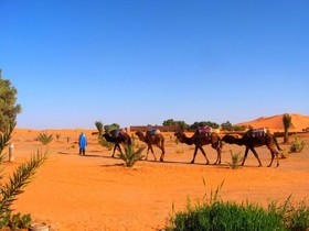 Auberge Africa
