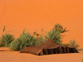 Auberge Africa
