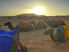 Bivouac Les Cles De Desert