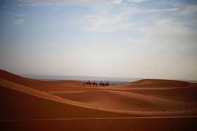 Camels House