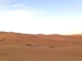 Camels House
