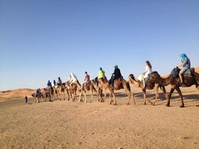 Camels House