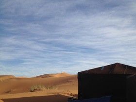 Camels House