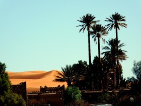 La Vallée Des Dunes