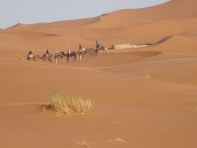 Riad Aicha
