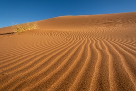 Bivouac Joudour Sahara