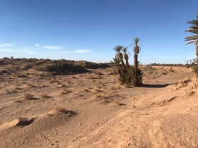 Bivouac Joudour Sahara
