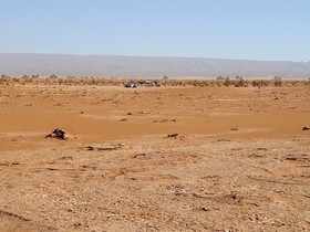 Bivouac Sahara Feeling
