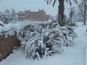 Kasbah dar Dmana