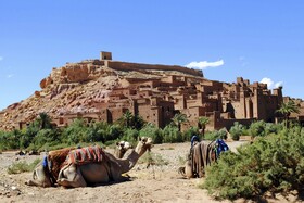 Riad Chay
