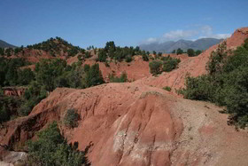 Dar Tassa