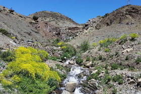 Dar Tassa