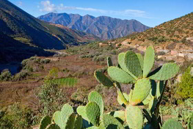 Dar Tassa