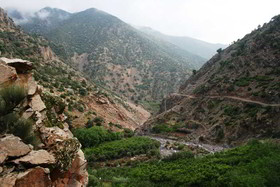 Dar Tassa