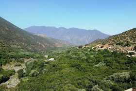 Dar Tassa