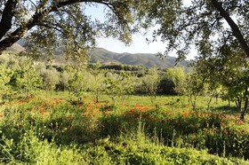 Domaine de La Roseraie