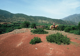 Domaine de La Roseraie