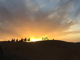 Desert Queen Camp