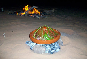 Desert Queen Camp